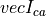 vec{I}_{ca}
