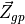\vec{Z}_{gp}